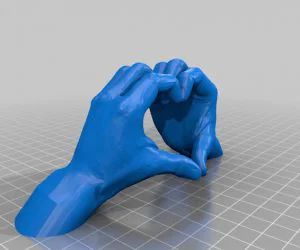 Heart Hand Love Hand 3D Models