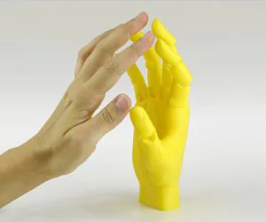 Jointed Hand 3D Models