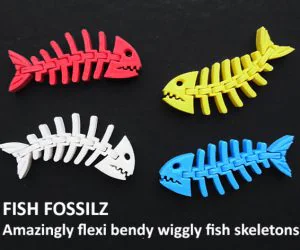 Fish Fossilz 3D Models