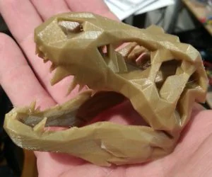 Low Poly Trex Skull 3D Models