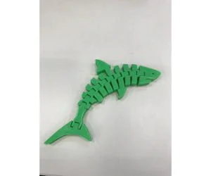 Clean Flexi Shark 3D Models