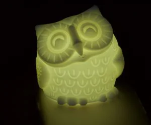 Smiling Owl 3D Models
