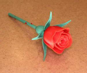 Rose With Stem Thorns Sepals Hip For Valentines Day 3D Models