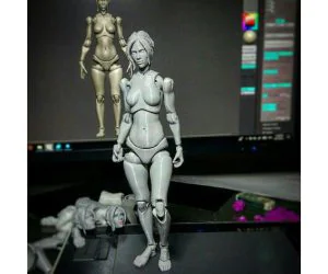 Jointed Female Figure 3D Models