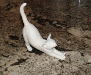 Cat Stretch 3D Models