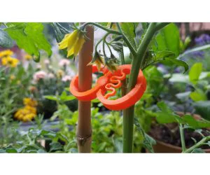 Super Awesome Plant Clip 3D Models