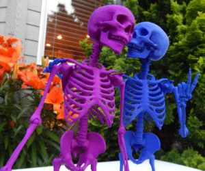 Mr Bones Articulated Skeleton 3D Models