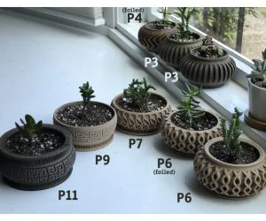 Succulent Planter 11 3D Models