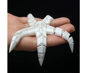 Flexible Starfish 3D Models