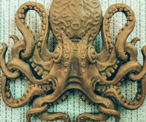 Octopus 3D Models