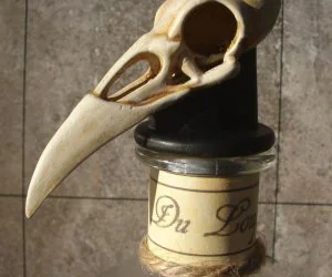 Raven Skull Bottle Stop 3D Models