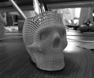 Wireframe Skull Pencil Holder For The Love Of Dog 3D Models