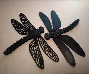 Floppy Dragonfly 3D Models
