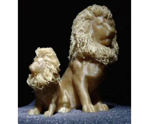 Hairy Lion 3D Models
