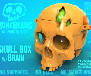 Boneheads Skull Box W Brain Via 3Dkitbash.Com 3D Models