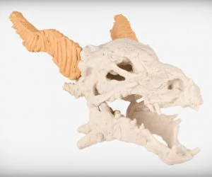 Dragon Skull 3D Models