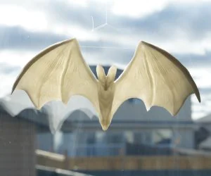 Ghost Bat 3D Models