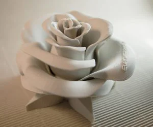 Rose Real Flower 3D Models
