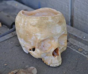 Skull Bowl 3D Models