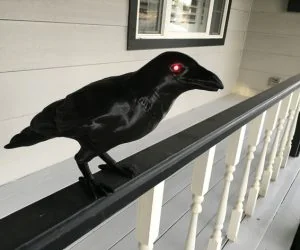 Halloween Crow 3D Models