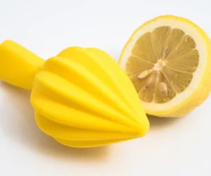 Citrus Juicer 3D Models