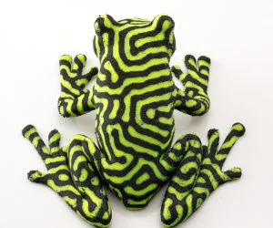 2Color Tree Frog 3D Models