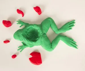 The Frog Dissection Kit 3D Models