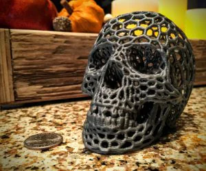 Skull Voronoi Style 3D Models