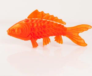 On Such A Full Sea Koi Fish 3D Models