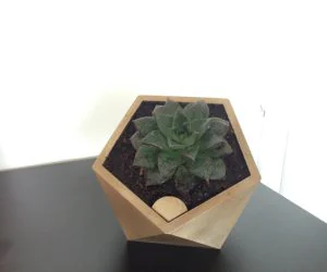 Penta Self Watering Flower Pot 3D Models