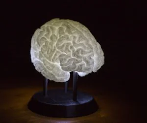 Ledlit Brain 3D Models