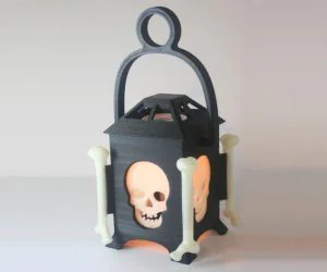 Led Skull Lantern 3D Models