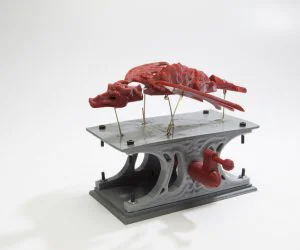 Automaton Dragon 3D Models