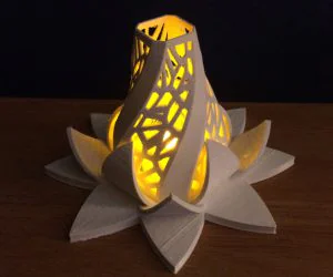 Radiant Blossom 3D Models