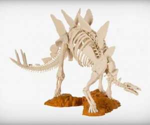 Stegosaurus Skeleton 3D Models