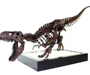 Trex Skeleton Leo Burton Mount 3D Models