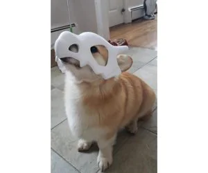 Cubone Dog Mask 3D Models