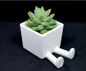 Succulent Planter 3D Printed Planter Legged Planter 3D Models
