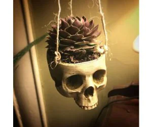 Skull Plant Hanger 3D Models