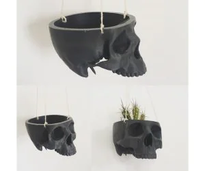 Skull Bowl Remix Into Skull Hanging Planter Pot 3D Models