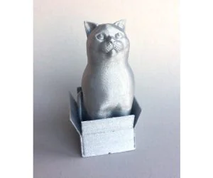 Schrodinky British Shorthair Cat Sitting In A Boxsingle Extrusion Version 3D Models