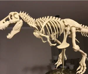 Trex Skeleton Fixed And Printable 3D Models