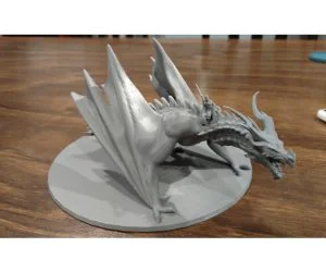 Dragon With Rider 3D Models