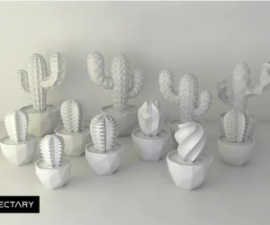 Vectary Succulent Collection 3D Models