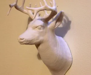 Deer Head Detailed 3D Models