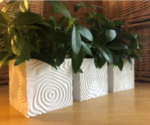 Ripple Vases Cube 3D Models