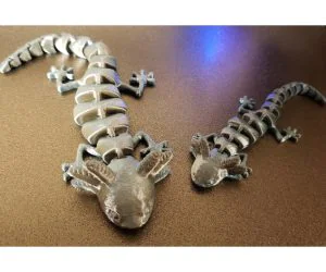 Articulated Axolotl Enhanced 3D Models