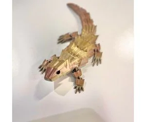 Armadillo Lizard Articulated 3D Models