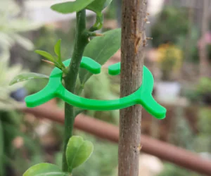 Clips For Plants 3D Models