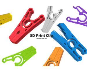 Clip 3D Models
